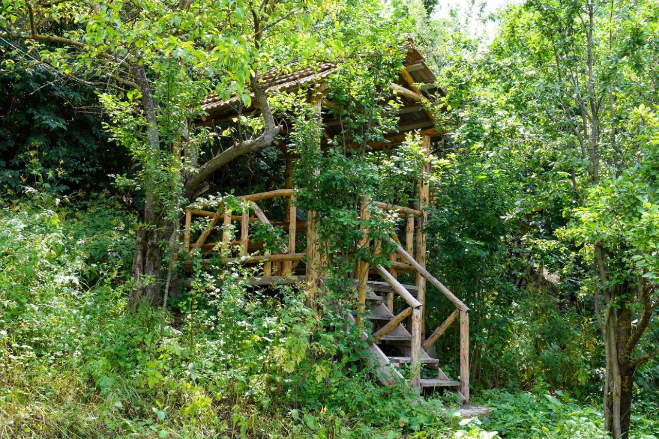 Verin Tun Dilijan Exterior foto